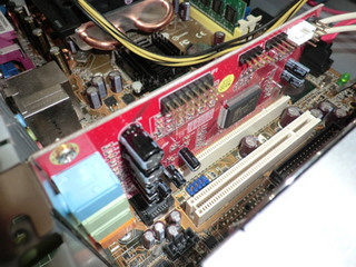 P20111106-1.jpg